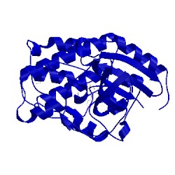 Image of CATH 3qx2