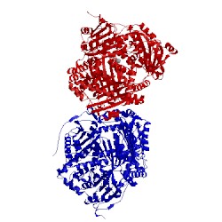 Image of CATH 3qz2
