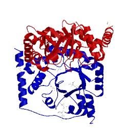 Image of CATH 3r12