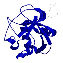 Image of CATH 3r56