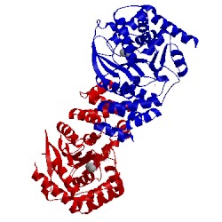 Image of CATH 3r88