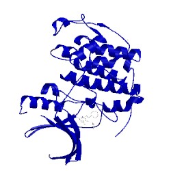 Image of CATH 3rai