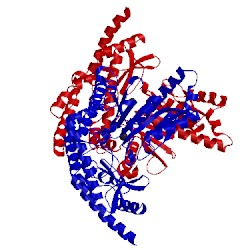 Image of CATH 3rbf