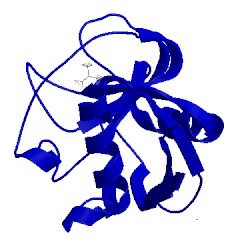 Image of CATH 3rcg