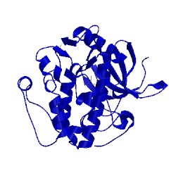 Image of CATH 3rcj