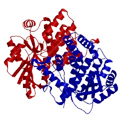 Image of CATH 3rdp