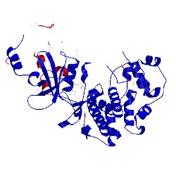 Image of CATH 3rgf
