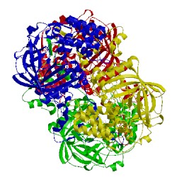 Image of CATH 3rgp