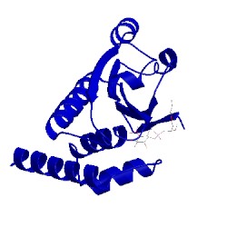 Image of CATH 3rgq