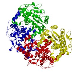 Image of CATH 3rhf