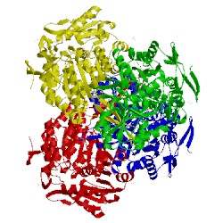 Image of CATH 3rhq