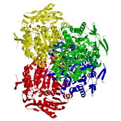 Image of CATH 3rhr