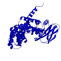 Image of CATH 3rjo