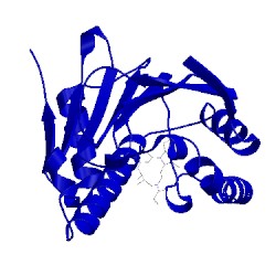 Image of CATH 3rkz