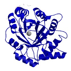 Image of CATH 3rlg