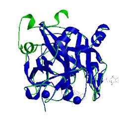 Image of CATH 3rml