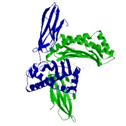 Image of CATH 3rol