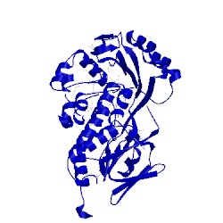 Image of CATH 3rp6