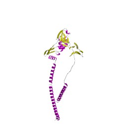 Image of CATH 3rrtB00