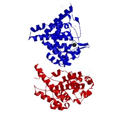 Image of CATH 3rrw