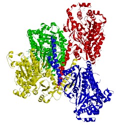 Image of CATH 3rsz