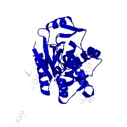 Image of CATH 3rti