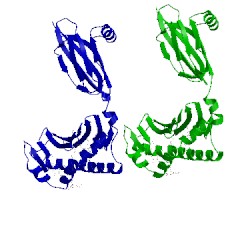 Image of CATH 3rug