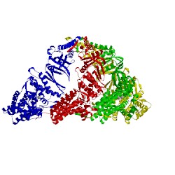 Image of CATH 3ruq