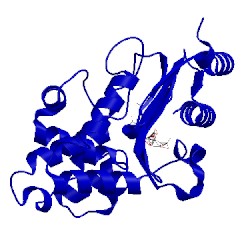 Image of CATH 3rxw