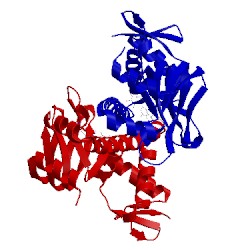 Image of CATH 3ryp