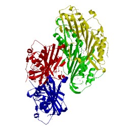 Image of CATH 3s19