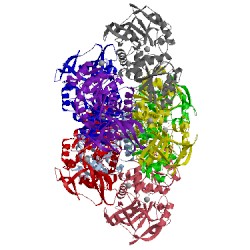 Image of CATH 3s2i