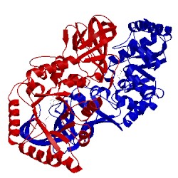 Image of CATH 3s46