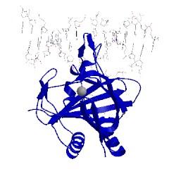 Image of CATH 3s5a