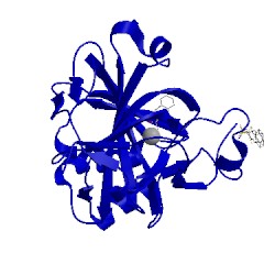 Image of CATH 3s74