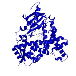 Image of CATH 3s79