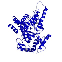 Image of CATH 3s7j