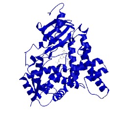 Image of CATH 3s7s