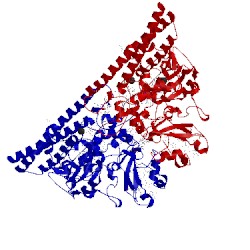 Image of CATH 3s7w