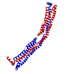 Image of CATH 3s84