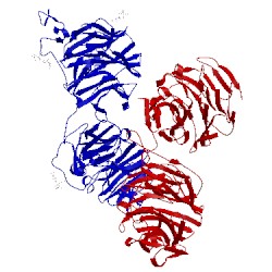 Image of CATH 3s94