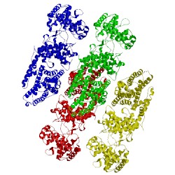 Image of CATH 3s9v