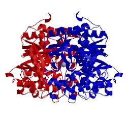 Image of CATH 3sco