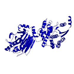Image of CATH 3sdb