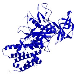 Image of CATH 3sdz
