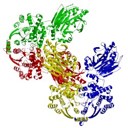 Image of CATH 3seq