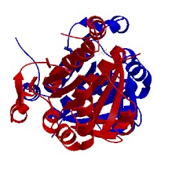 Image of CATH 3sf8