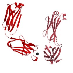 Image of CATH 3sge