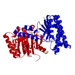 Image of CATH 3sgv