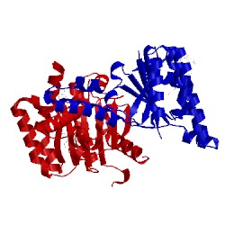 Image of CATH 3sh0